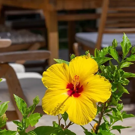 Magic El Paraiso With Private Pool M3