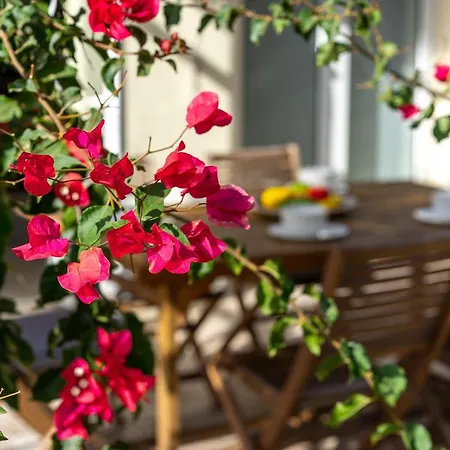 Villa Magic El Paraiso With Private Pool M3