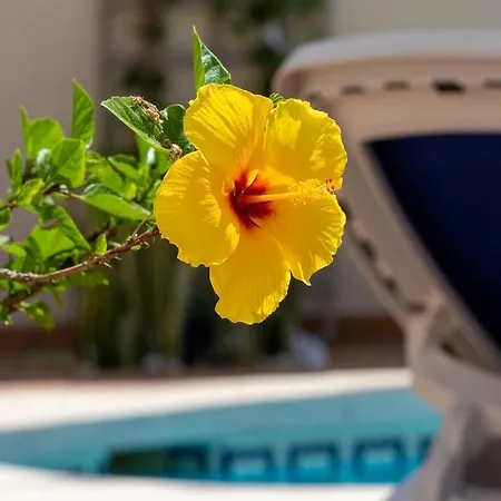 Magic El Paraiso With Private Pool M3