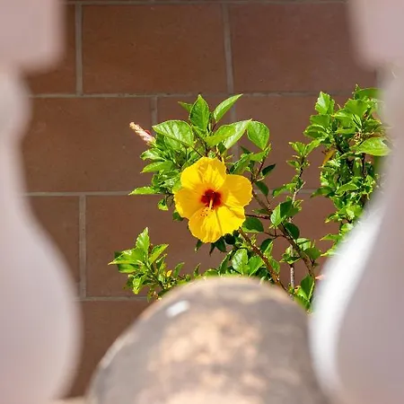 Magic El Paraiso With Private Pool M3 Estepona