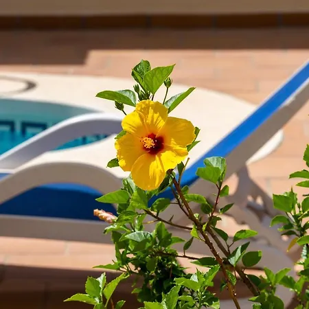 Magic El Paraiso With Private Pool M3 Estepona